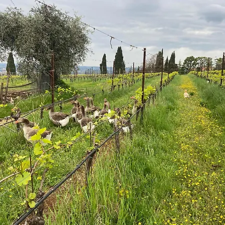 La Vineria Di San Mattia Farm stay