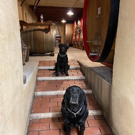 La Vineria Di San Mattia Farm stay *