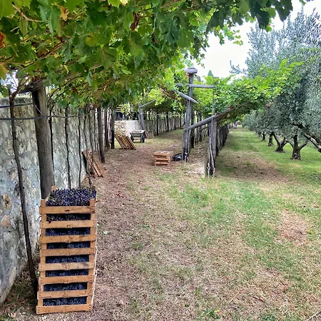 La Vineria Di San Mattia Farm stay Verona