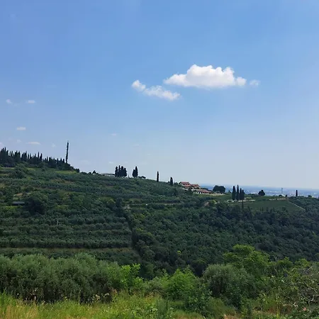 Farm stay La Vineria Di San Mattia *