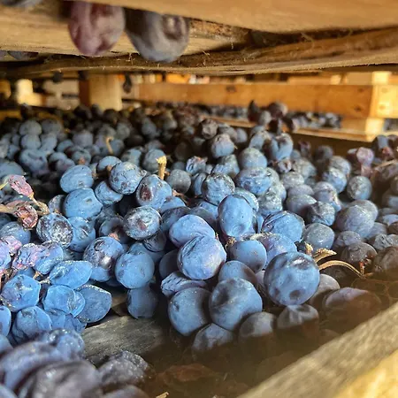 Feriegård La Vineria Di San Mattia *